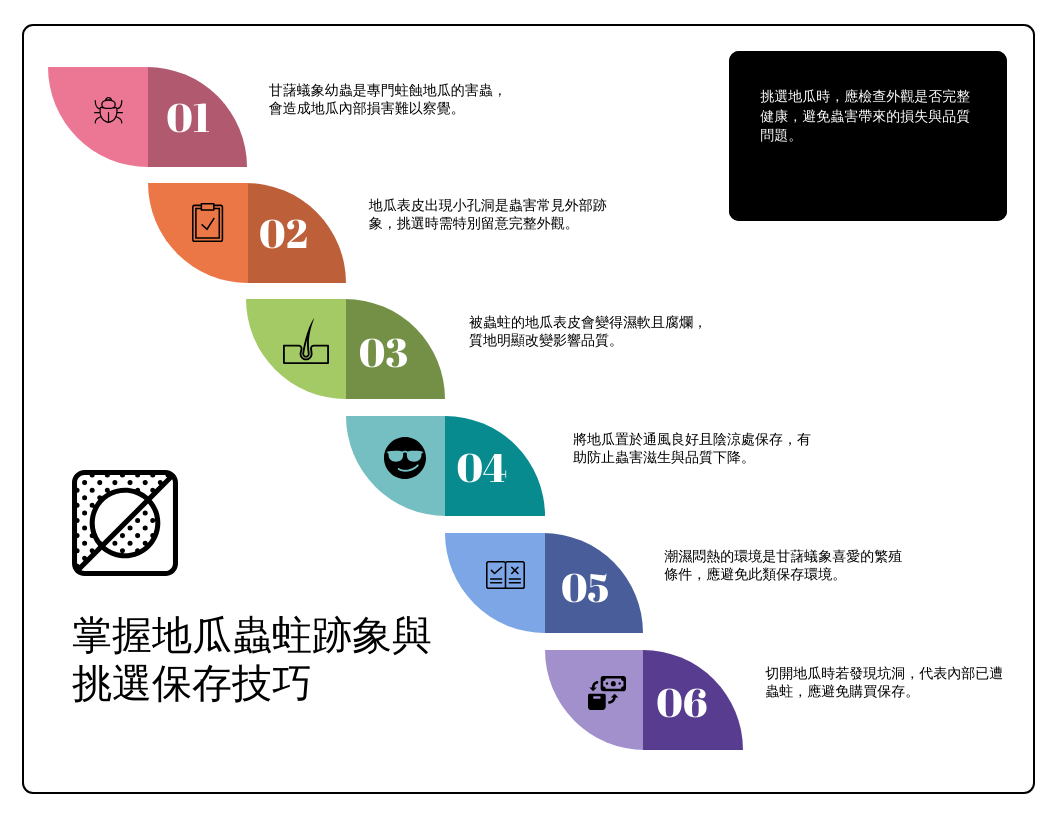 地瓜有蟲洞還能吃嗎？專家解答 | 挑地瓜避蟲蛀！3招教你選 | 地瓜長蟲別急丟！處理秘訣